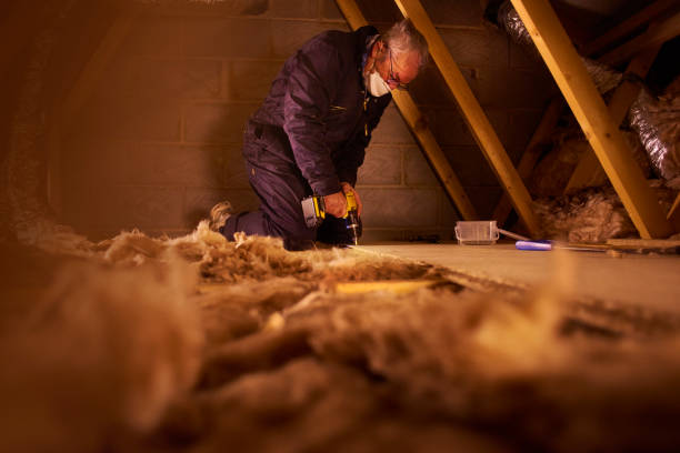 Best Blown-in Insulation in Lakeland Village, CA
