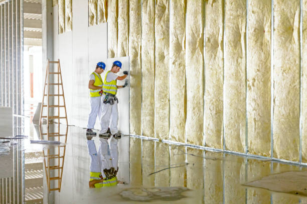 Types of Insulation We Offer in Lakeland Village, CA